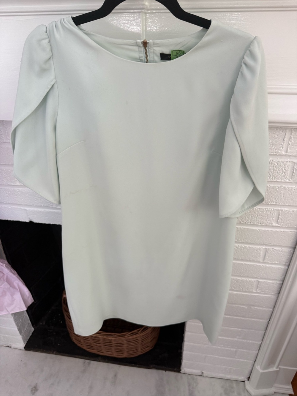 Cynthia Steffe Tulip Sleeve Shift Dress Mint Green *MINT CONDITION*